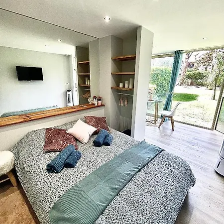 Palm Appartement Cannes